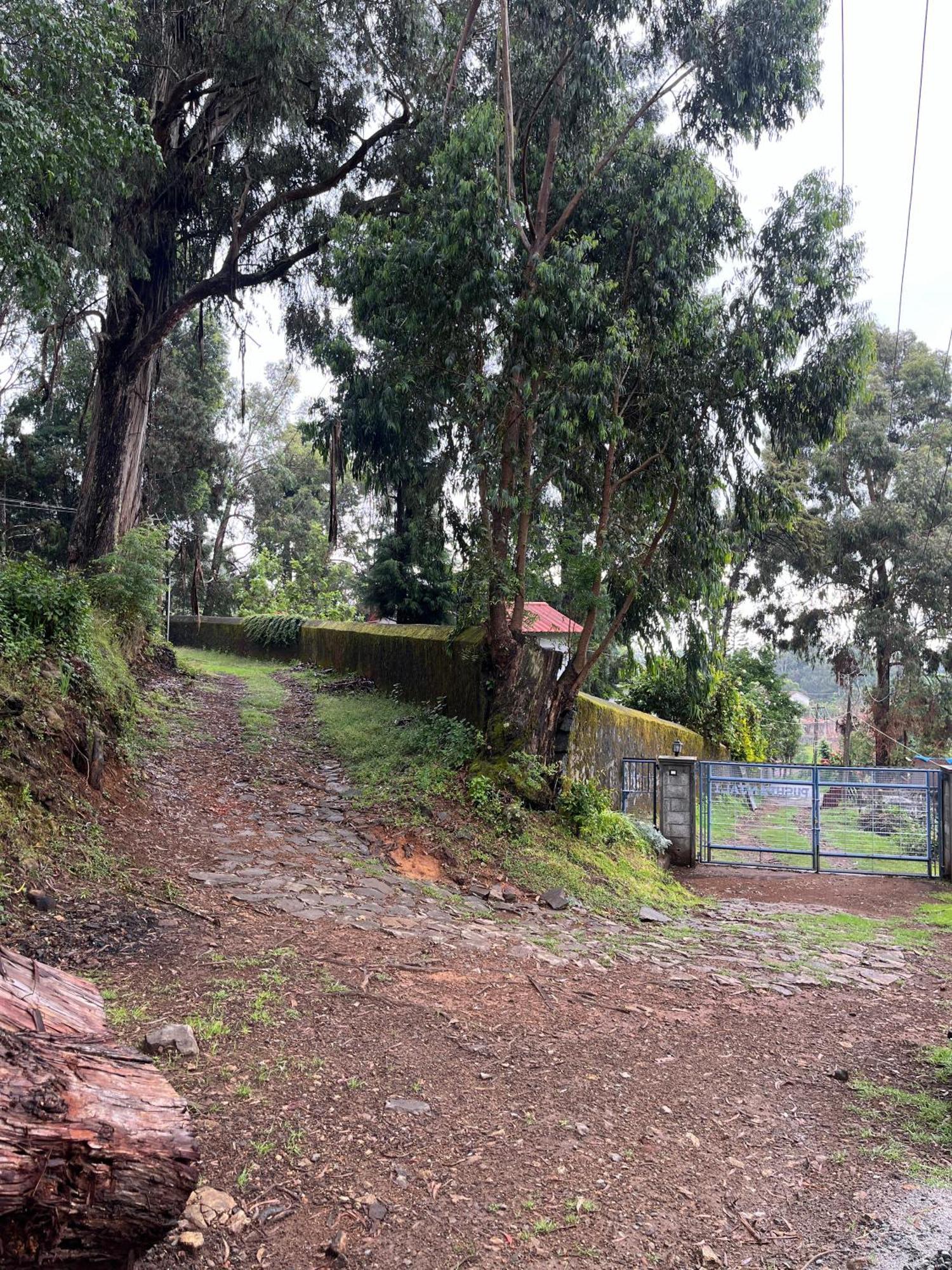 Springdale Villa Kodaikanal Exterior photo