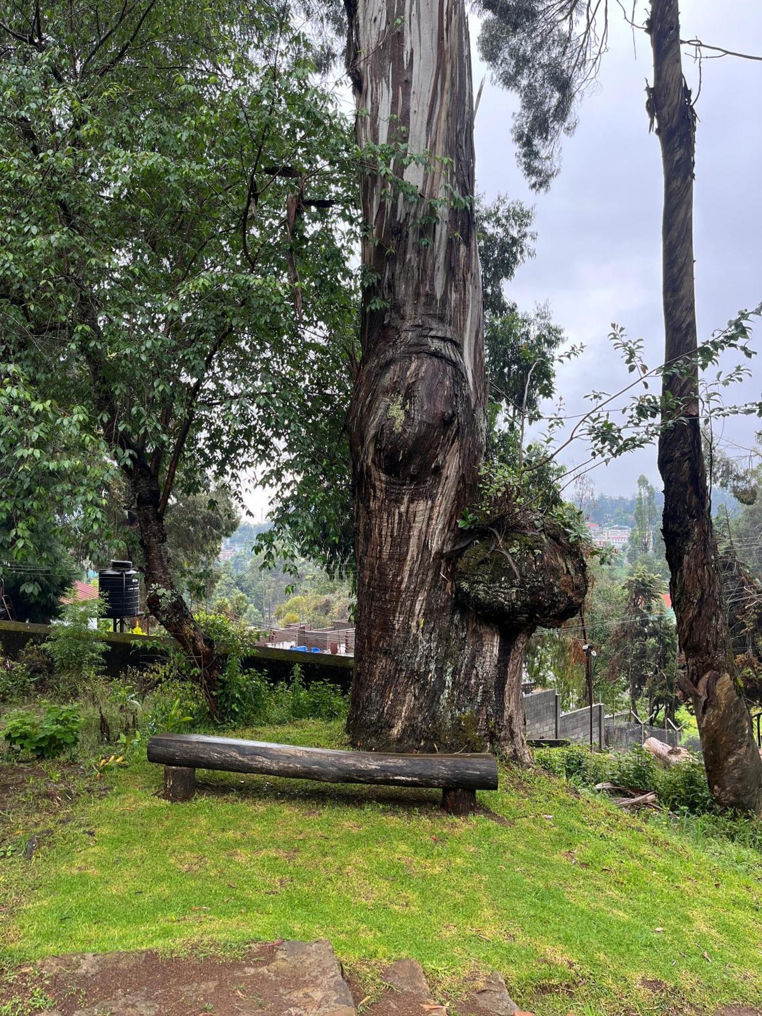 Springdale Villa Kodaikanal Exterior photo