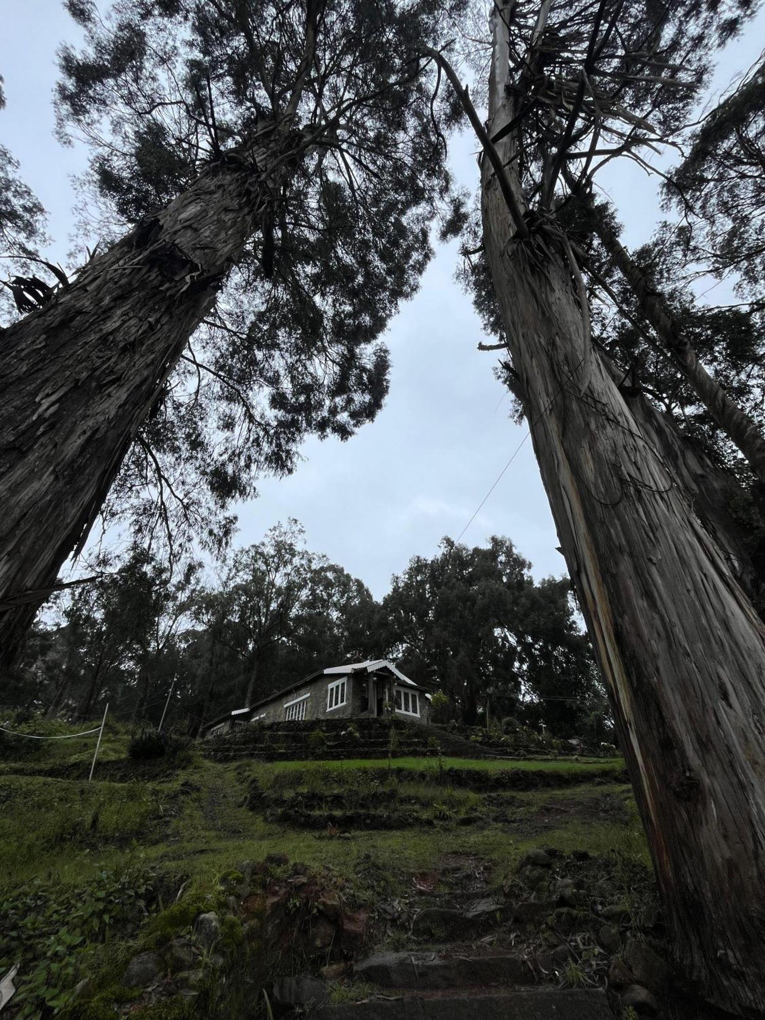 Springdale Villa Kodaikanal Exterior photo